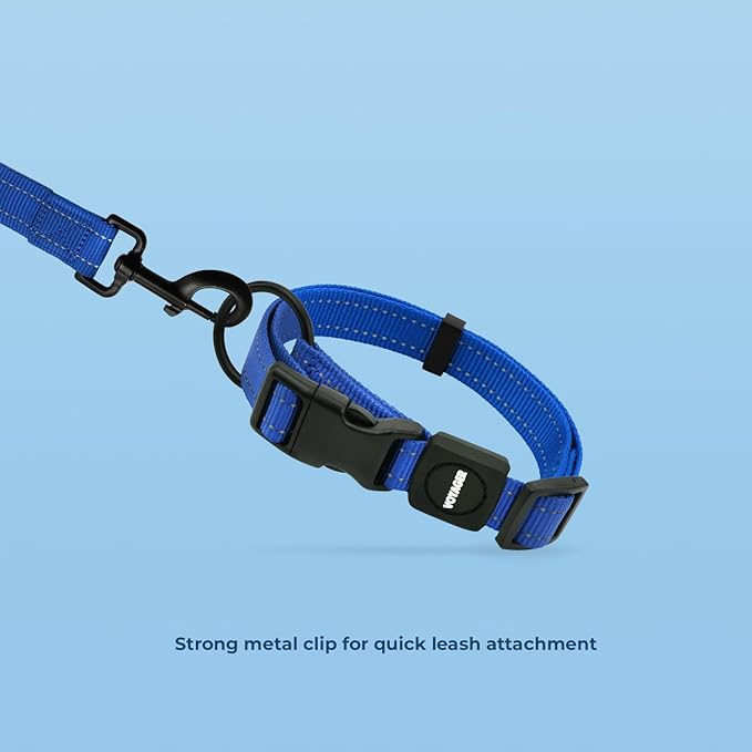 Voyager Reflective Dog Leash Collar Set with Neoprene Handle Supports Small, Medium, and Large Breed Puppies, Cute and Heavy Duty for Walking, Running, and Training - Royal Blue, S