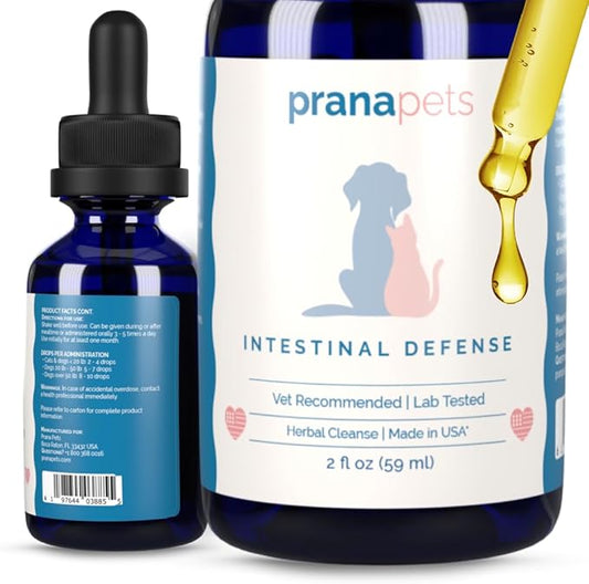 Intestinal Defense Supplement for Dogs & Cats | Naturally Helps Digestive Issues in Pets | Herbal Formula | by Prana Pets