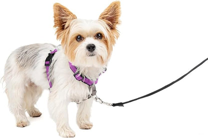 PetSafe 3 in 1 Dog Harness - No Pull Solution for Dogs - Reflective Dog Harness - Front D-Ring Clip Helps Stop Pulling - Comfortable Padded Straps - Top Handle Enhances Control - Plum - Extra Small