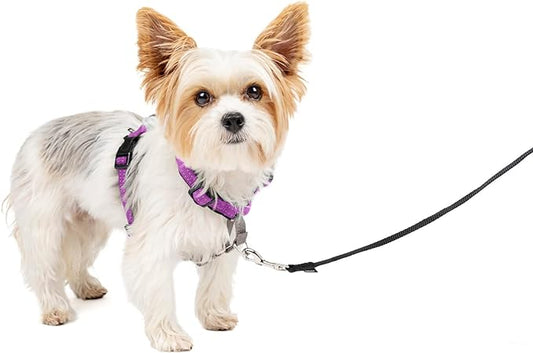PetSafe 3 in 1 Dog Harness - No Pull Solution for Dogs - Reflective Dog Harness - Front D-Ring Clip Helps Stop Pulling - Comfortable Padded Straps - Top Handle Enhances Control - Plum - Extra Small