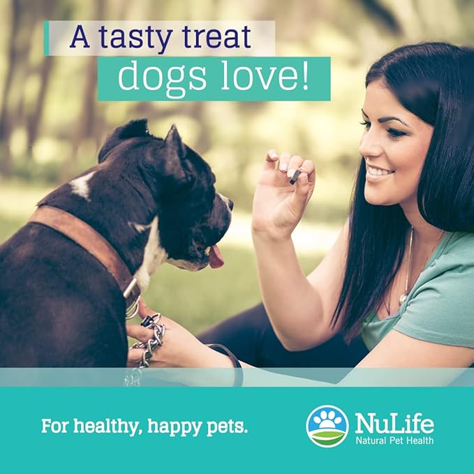 Omega Skin and Coat Chews for Dogs, Wild Salmon Dog Treats with Biotin & Vitamin E, Helps with Itchy Skin, Allergy Relief & Shedding, Omega 3 6 9, EPA & DHA Fatty Acids, Made in USA, 120 Chews