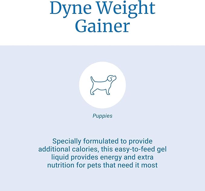 Pet-Ag Dyne High Calorie Liquid Nutritional Supplement for Dogs & Puppies 8 Weeks and Older - 1 Gallon - Supports Performance and Endurance - Sweet Vanilla Flavor
