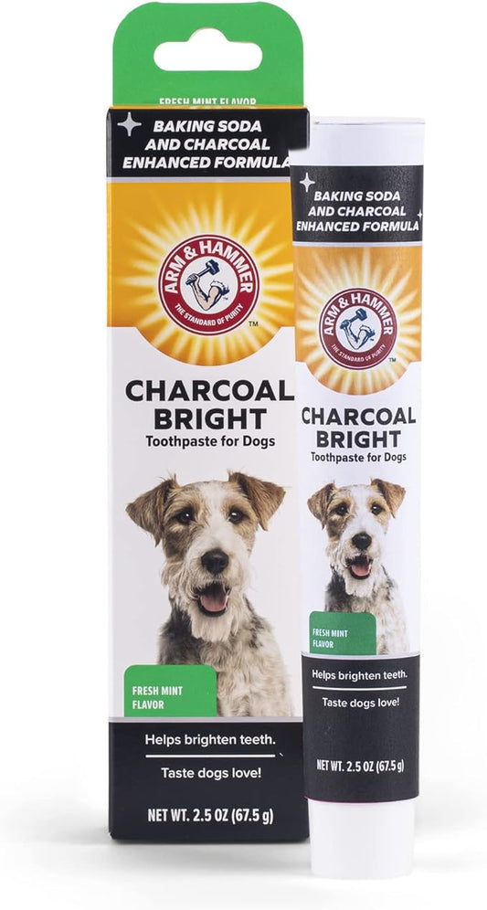 Arm & Hammer Charcoal Bright Toothpaste for Dogs, Charcoal | Pet-Safe, Natural Dog Toothpaste & Breath Freshener with Charcoal & Enzymes | 2.5oz Canine Teeth Cleaning Paste Arm & Hammer