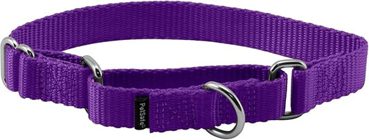 PetSafe Martingale Collar, 3/4" Small, Deep Purple