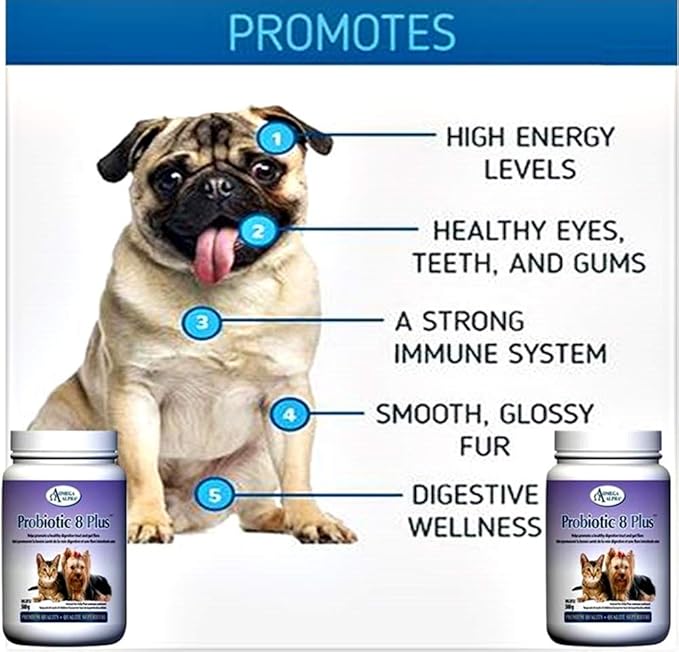 Probiotic 8 Plus Pet Probiotics | Enzymes & Fiber for Digestion | Natural Herbal Digestive Supplement |Reduces Indigestion | Specially for Cat & Dogs (500g) (Two bottles bundle)