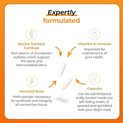 VetriScience Vetri Disc Joint Supplement for Dogs - Spine Support & Joint Health Dog Supplement with Chondroitin Sulfate, Vitamins B6, C & D, Calcium, Magnesium, Horsetail Herb & More - 180 Capsules