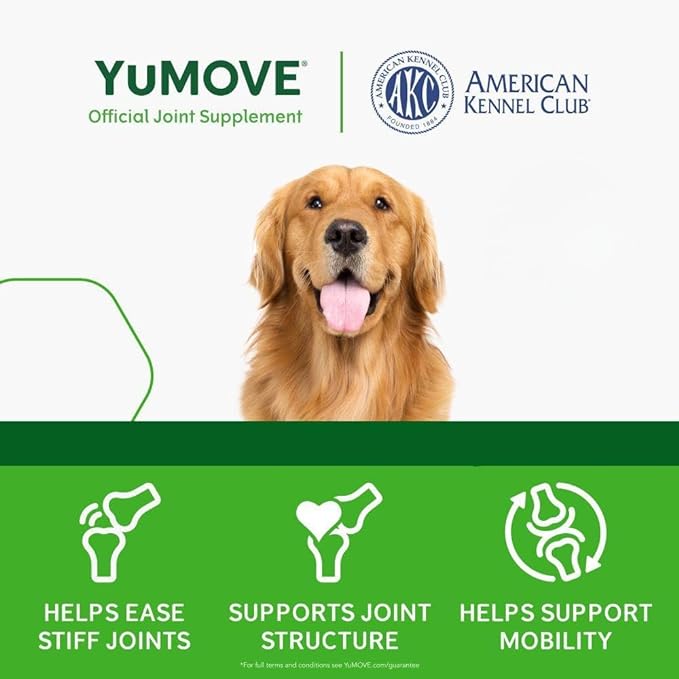 Adult Dog Tablets | for Dogs Aged 5 to 8 | Dog Hip and Joint Supplement with Glucosamine, Hyaluronic Acid & Green Lipped Mussel, Perfect for Adult Dogs (60 Tablets)