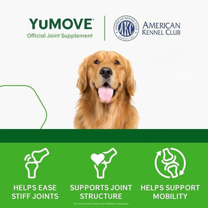 Adult Dog Tablets | for Dogs Aged 5 to 8 | Dog Hip and Joint Supplement with Glucosamine, Hyaluronic Acid & Green Lipped Mussel, Perfect for Adult Dogs (60 Tablets)