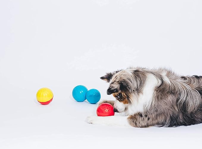 Pet Qwerks Animal Sounds Babble Ball - Interactive Chew Dog Toy - Large