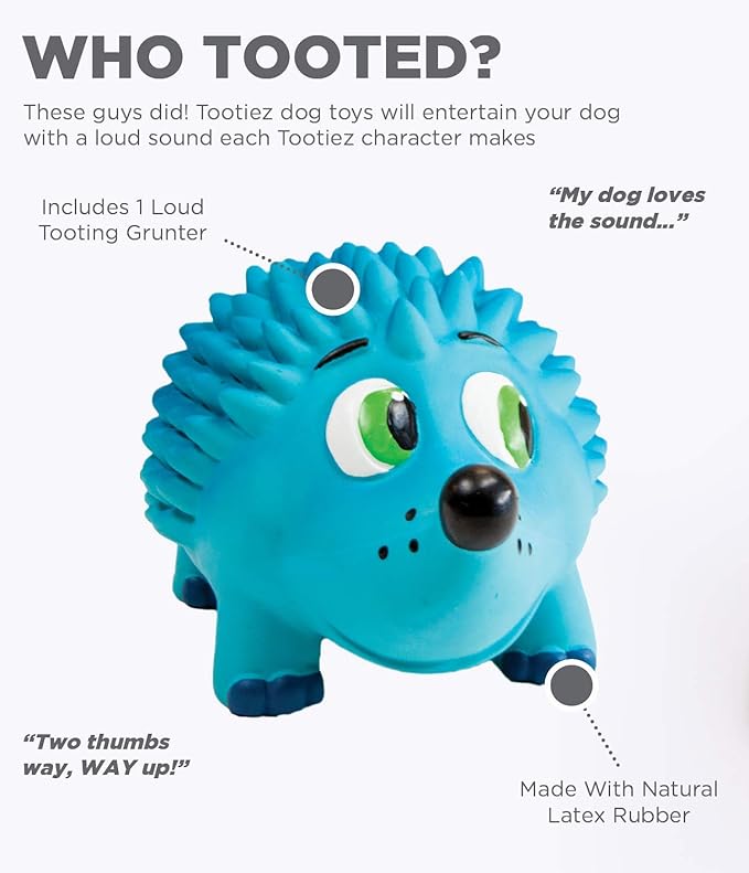 Outward Hound Tootiez Hedgehog Grunting Latex Rubber Dog Toy, Large