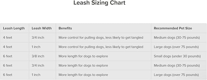 PetSafe Nylon Dog Leash - Strong, Durable, Traditional Style Leash with Easy to Use Bolt Snap - 3/8 in. x 6 ft., Red