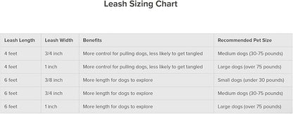 PetSafe Nylon Dog Leash - Strong, Durable, Traditional Style Leash with Easy to Use Bolt Snap - 3/8 in. x 6 ft., Red