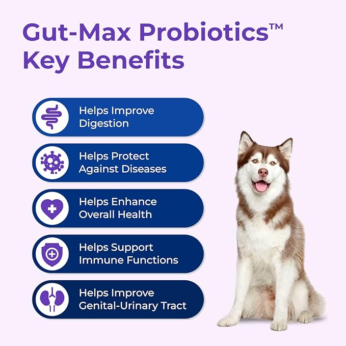 Gut-Max Probiotic Chews - with Patented BC30™ Bacillus Coagulans - Vet Formulated for Digestive and Immune Support w/Natural Prebiotic Microbes - Duck Flavor - 90 Soft Chews