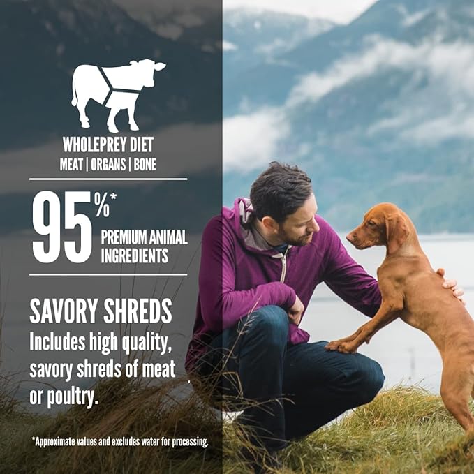 ORIJEN Beef Recipe Stew with Shredded Beef and Eggs Wet Dog Food, Grain Free Dog Food, WholePrey Ingredients, 12.8oz (Case of 12)