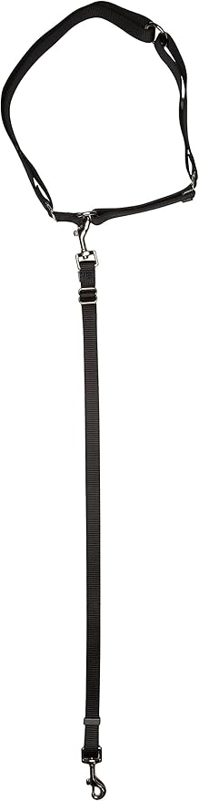 PetSafe Pet Hands Free Leash, Black