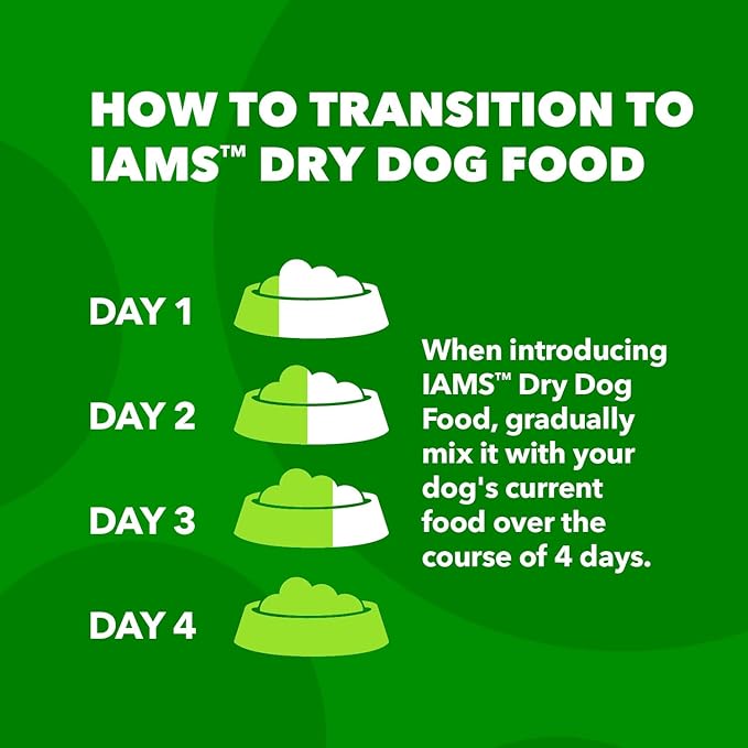 IAMS Adult Minichunks Small Kibble High Protein Dry Dog Food with Real Chicken, 15 lb. Bag