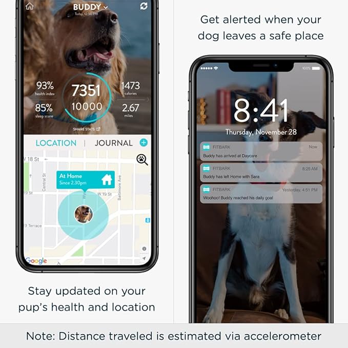 Seresto 8-Month Flea & Tick Prevention Collar for Small Dogs Up to 18 lbs Plus FitBark GPS Dog Tracker | Buy Together and Get Free 1-Year GPS Subscription ($255.33 Value)