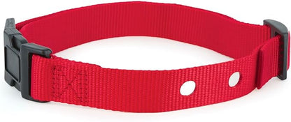 PetSafe 1 Inch Replacement Collar Strap with 2 Holes, for Wireless Fence and In-Ground Fence Collars - Red