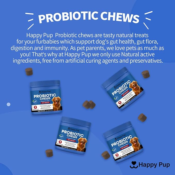 Probiotics for Dogs – Natural Digestion & Health Supplement, Support Gut Health, Nutrient Absorption, Diarrhea, Digestive Health, No Artificial Ingredients 120 Soft Chews Chicken