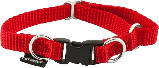 PetSafe KeepSafe Break-Away Collar, Prevent Collar Accidents for your Dog or Puppy, Improve Safety, Compatible with Lead Use, Adjustable Sizes Small (.75 inch)