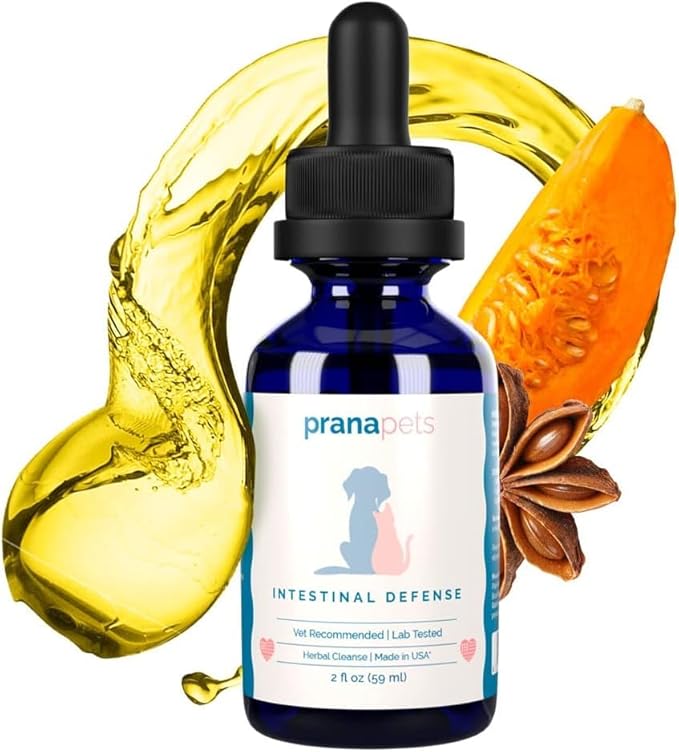 Intestinal Defense Supplement for Dogs & Cats | Naturally Helps Digestive Issues in Pets | Herbal Formula | by Prana Pets