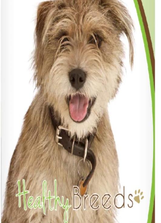 Healthy Breeds Mutt Penny Royal Itch Relief Shampoo 8 oz