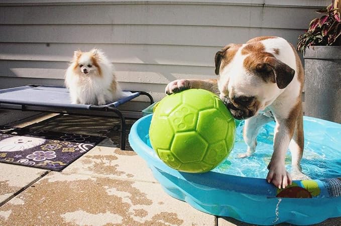 Jolly Pets Large Jolly Soccer Ball Floating-Bouncing Dog Toy; 8" Green Apple