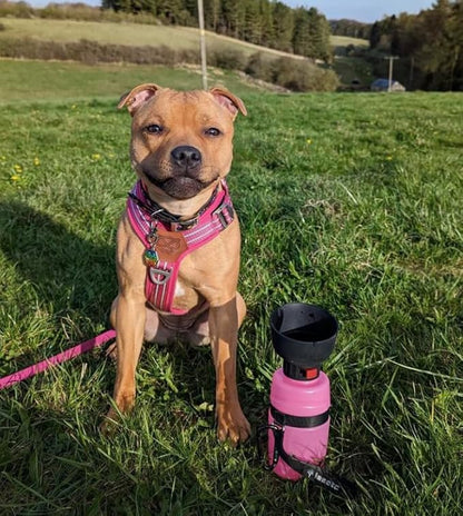 lesotc Portable Dog Water Bottle,Dog Travel Water Bottle Pink,Leak Proof Dog Water Bowl Dispenser,Collapsible Pet Water Bottles for Dogs Essentials,Walking,Hiking Gear,On The Go,Traveling,BPA Free