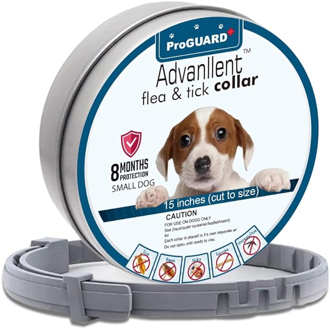 Flea Collar for Dogs, Flea and Tick Collars for Small Dogs, 15.5inch, 8 Month Protection (1 Pack), Gray