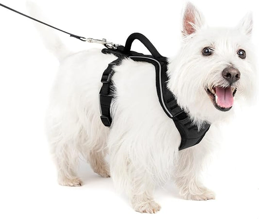 PetSafe EasySport Dog Harness – Adjustable, Padded Dog Harness with Control Handle and Reflective Piping – Small, Black