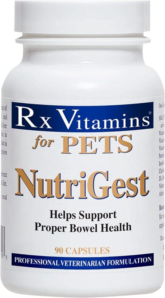 Rx Vitamins for Pets Nutrigest for Dogs & Cats - Helps Support Proper Bowel & Digestive Health - Veterinarian Formulated Probiotic - 90 Capsules