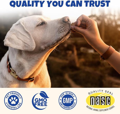 Probiotics for Dogs, Support Gut Health, Diarrhea, Seasonal Allergies, Paw Licking, Digestive Health Enzymes, 90 Pork Chews Allergy & Immune Supplement for Dogs Anal Gland Soft Chew Treats