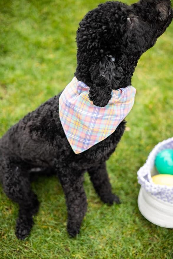 Pearhead Pet Pastel Plaid Bandana, Easter Pet Bandana, Spring Pet Gifts,Slide-On Dog Bandana, Pet Apparel, Pet Accessory, Pet Owner Gift Ideas, Medium/Large, M/L