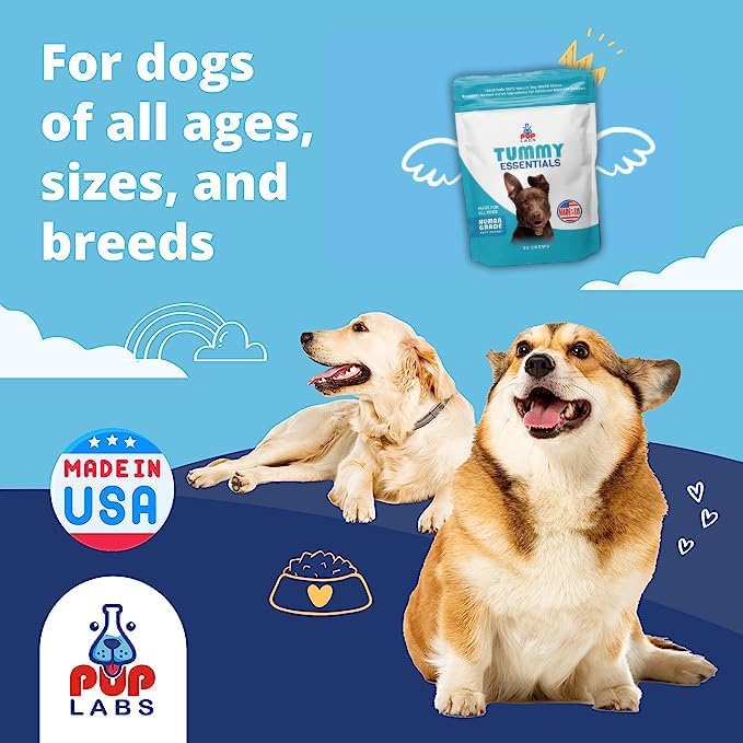 Tummy Essentials Probiotics for Dogs - Eliminate Digestive Dysfunction - Supports Gut Health - Dog Probiotics Support a Happy and Active Life - Made for All Dogs and in The USA, 30 Chews