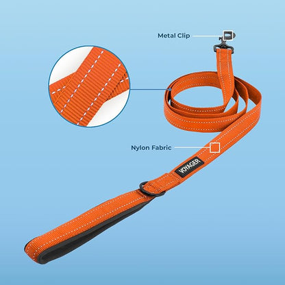 Voyager Reflective Dog Leash with Neoprene Handle, 5ft Long, Supports Small, Medium, and Large Breed Puppies, Cute and Heavy Duty for Walking, Running, and Training - Orange (Leash), L
