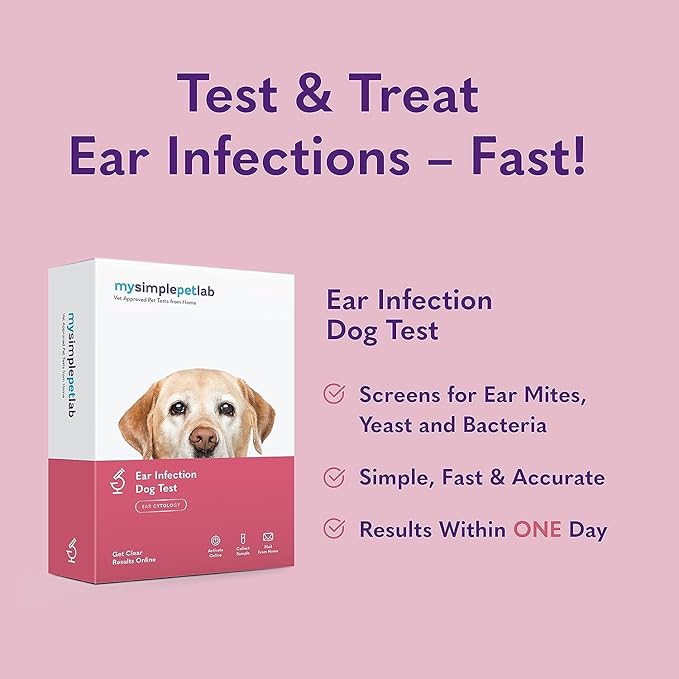 MySimplePetLab Dogs Ear Infection Test Kit | Fast and Accurate Detection of Yeast and other Ear Irritations| Reliable Mail-in Dog Ear Care Test for Smelly, Itchy, or Sore Ears