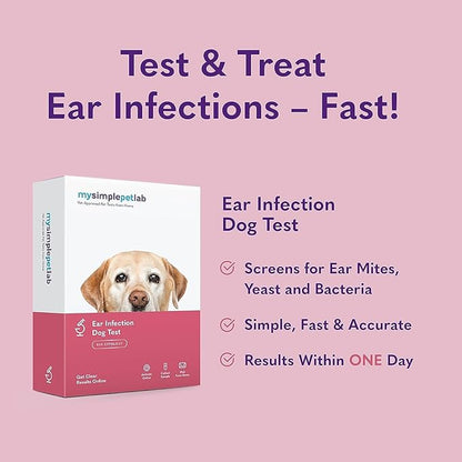MySimplePetLab Dogs Ear Infection Test Kit | Fast and Accurate Detection of Yeast and other Ear Irritations| Reliable Mail-in Dog Ear Care Test for Smelly, Itchy, or Sore Ears