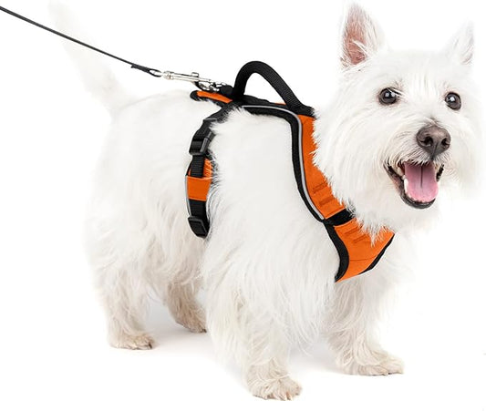 PetSafe EasySport Harness, Adjustable Padded Dog Harness with Control Handle and Reflective Piping, from The Makers of The Easy Walk Harness Orange Small