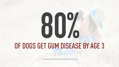 All Natural Dog Toothpaste, Organic Canine Toothpaste for Dogs, Veterinarian Formulated, Removes Tartar & Improves Gum Health, Safe, Made in USA - 5oz Spear Mint