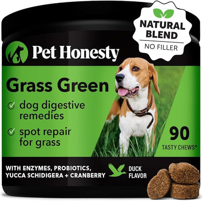 Pet Honesty Grass Green - Pee Grass Spot Saver Caused by Dog Urine, Gut Health Probiotics, Dog Urine Neutralizer for Lawn, Grass Burn Spot Chews, Cranberry, Apple Cider Vinegar, Dog Rocks (Duck 90 ct)