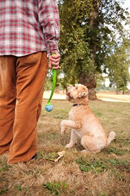 Chuckit Fetch Medley Dog Ball Dog Toys, Medium (2.5 Inch) Pack of 3, for Medium Breeds, Includes Whistler, Max Glow and Rebounce Balls