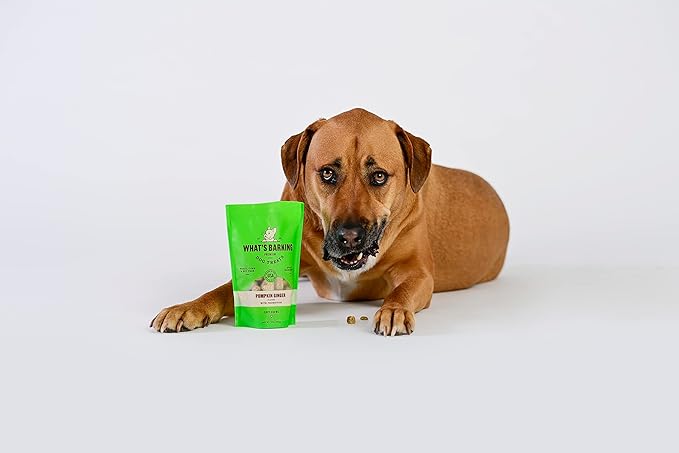 What's Barking Pumpkin Ginger Soft Chews - Premium Chewy Dog Treats, Probiotic, Natural Ingredients, No Wheat, Made in USA - 6 oz (Pack of 3)