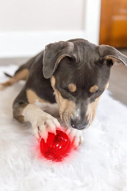 Pet Qwerks Blinky Babble Ball - Flashing Interactive Chew Dog Toy - Medium