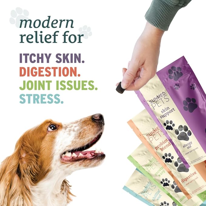 Probiotics for Dogs with Pumpkin & Probiotic Blend - Formulated for Dog Digestive Health, Overall Wellness - Hemp Extract Chews, 40 Count