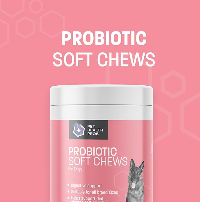 Advanced Probiotics for Dogs - Probiotic Soft Chew for Upset Stomach, Diarrhea & Constipation Relief - Promotes Happy Gut, Happy Dog - 60 ct