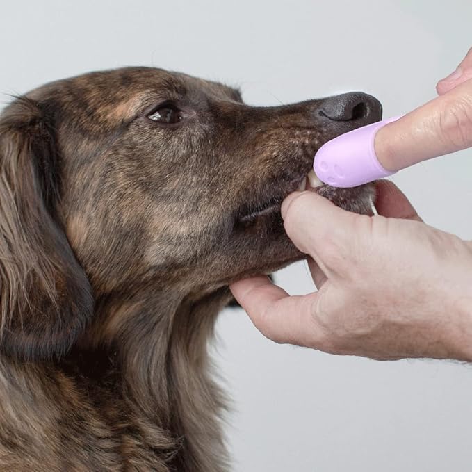 Silicone Dog Toothbrush, Ergonomic Dog Tooth Brush with Improved Design, Cat Finger Toothbrush for Pet Dental Care, Finger Brushes Suitable for Small Breeds, Puppies and Cats (Pack of 3)