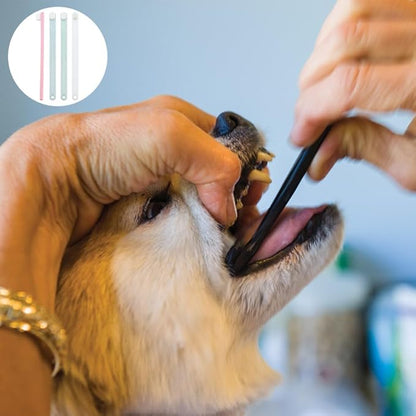 4 Pack Pet Dog Toothbrush Pet Teeth Deep Clean Dense Brush Mini Extra Soft Dog & Cat, Small Dog Tooth Brush Away Bad Breath