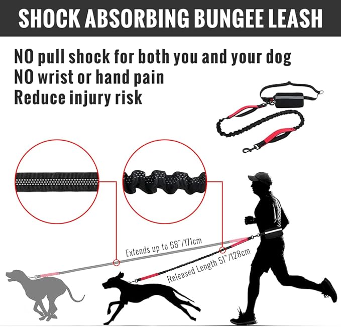 Plutus Pet Hands Free Dog Leash, Soft Padded Dual Handle Retractable Bungee Leash with Reflective Stitches, Adjustable Wasit Leash for Dog Walking Running Jogging, for Medium Large Dogs