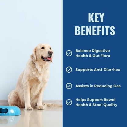 Gut Health for Dogs | 3 in 1 Prebiotic Probiotic Postbiotic | Supports Digestive Health, Anti Diarrhea | Puppy to Senior Dog | Powder 60 g
