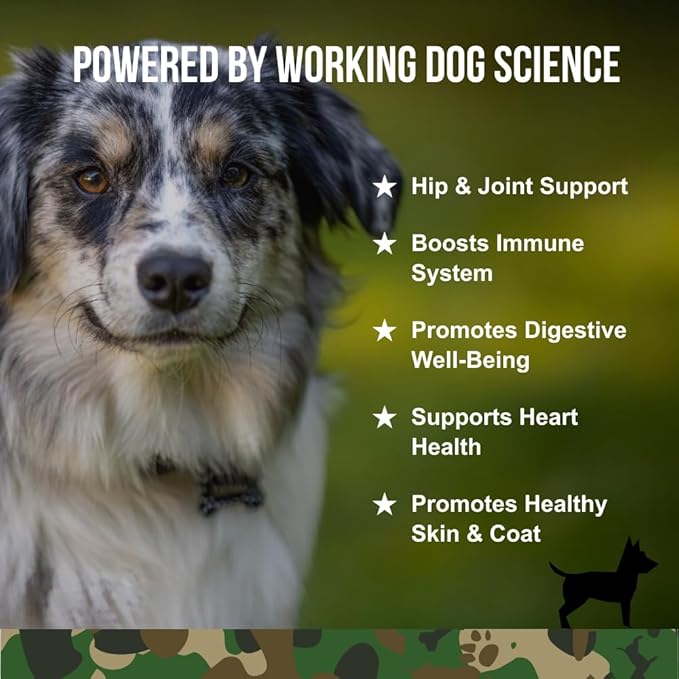 Operation Good Boy - SRE: Multi Function Supplement for Pets - 90 Count Soft Chews - 12.7 oz - Made Natural Ingredients - Veteran Owned